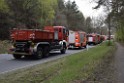 Waldbrand Wahner Heide Troisdorf Eisenweg P296